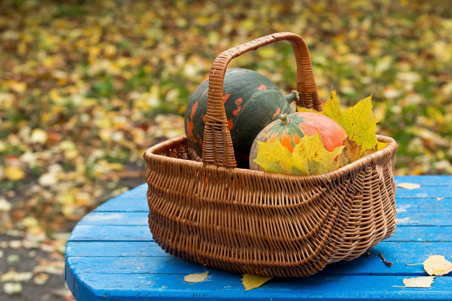huerto otoño