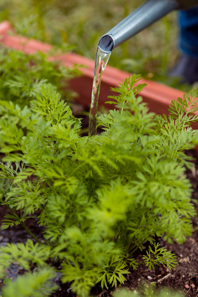 sistema de riego huerto urbano